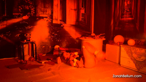 www.zonahbellum.net - 0085 Freddy Slaps  thumbnail